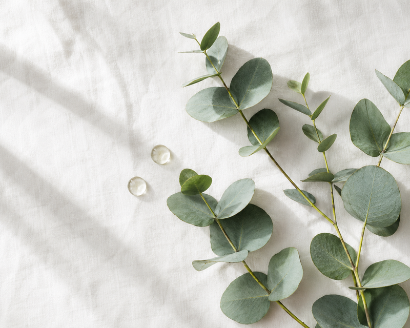Eucalyptus Essential Oil