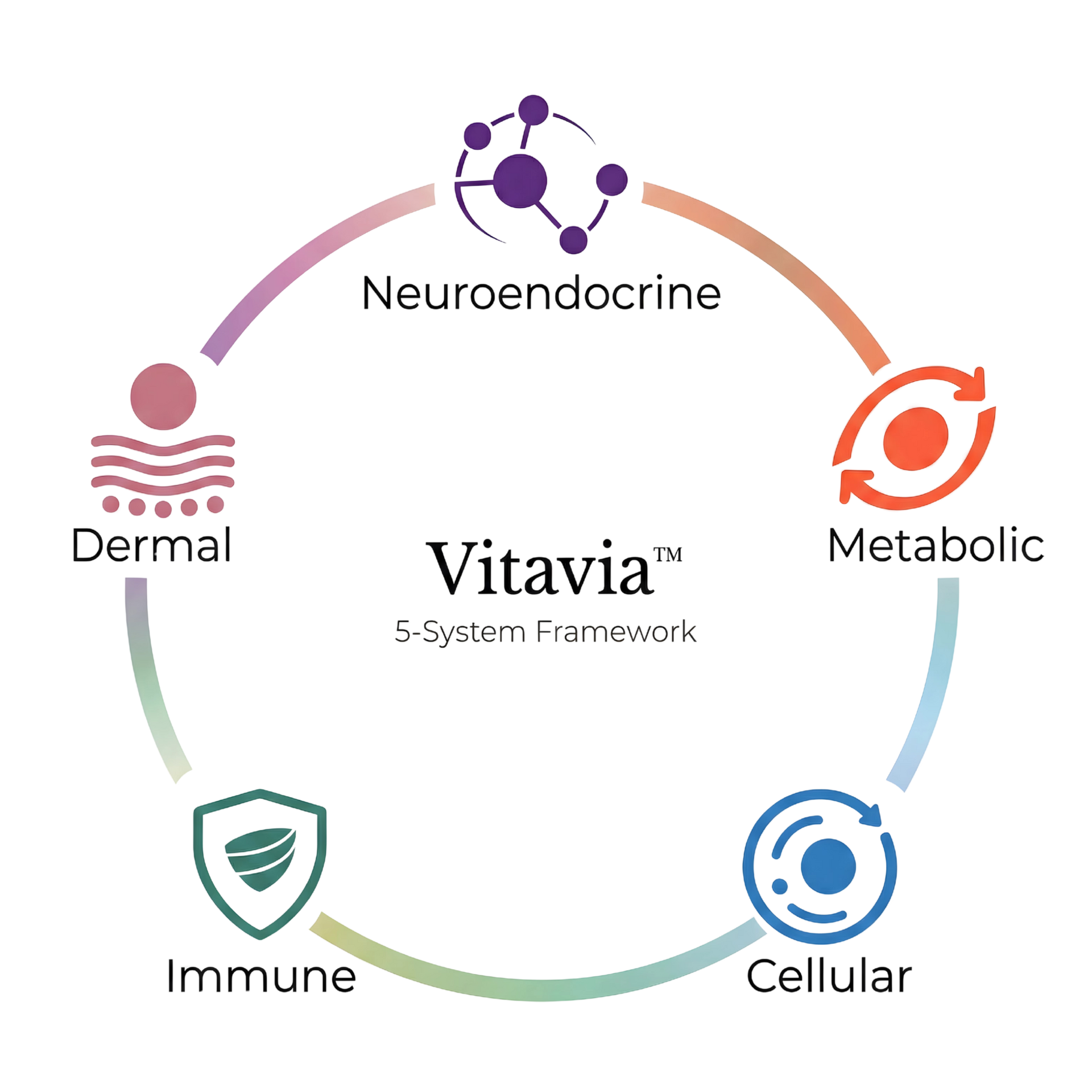 The 5-System Framework — five connected systems for whole-body wellness | Vitavia