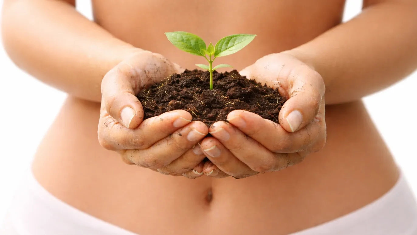 Rest Pack ritual — digestive comfort routine | Vitavia